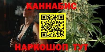 сатива Аргун