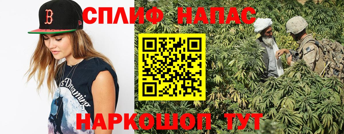 МАРИХУАНА семена Вышний Волочёк